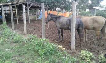 Imagem 3: Fazendinha 25 Alqueires 50 Minutos de MONTES CLAROS.