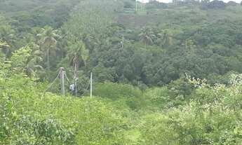 Imagem 3: Fazenda com 170 hectares em Pureza só terra