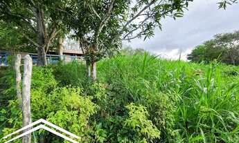 Imagem 5: Sitio em Chã Grande com 6,5 hectares