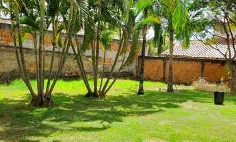 Imagem 5: Excelente lote ao lado do Mercado dona de casa em Arniqueiras. São 390 metros