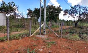 Imagem 4: São 2 mil metros no Silva Xavier