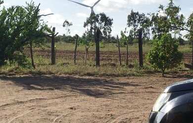 Imagem 2: Fazenda com 60 hectares em ceara mirim