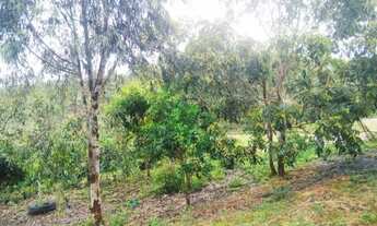 Imagem 3: Vende-se Chácara Casa - Piscina - 10km de São Jorge - Chapada dos Veadeiros - Alto Paraíso