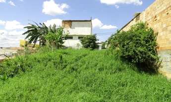 Imagem 3: Vendo Lote comercial no Cruzeiro do Sul