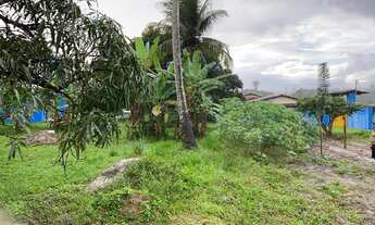 Imagem 6: Vendo ou troco Chácara na beira da BR-235 em Areia Branca/SE, medindo 4 tarefas, com baia