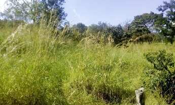 Imagem 6: 54 alqueires em Minaçu Goiás