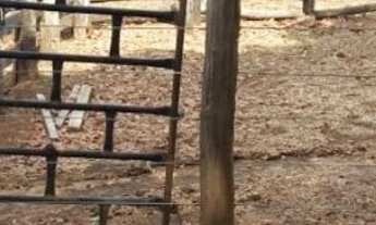 Imagem 3: 39,25 Alq (190 HÁ) - Guarani de Goiás - GO