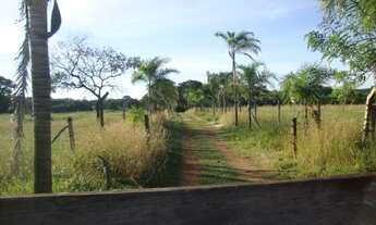 Imagem 4: ÁREA EM ABADIA DE GOIÁS - VILA SOCORRO