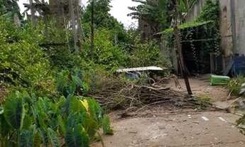 Imagem 4: Terreno Comercial com 600m²