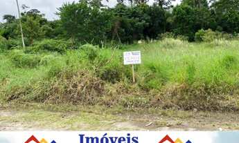 Imagem 7: Vendo lote na Praia do Ervino