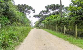 Imagem 7: Chácara no Bairro Inhaiva em São José dos Pinhais PR