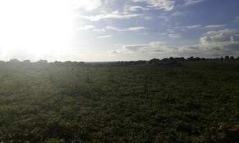 Imagem 6: Otima Fazenda com 25 hectares na região de boa saúde
