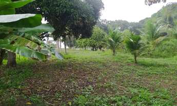 Imagem: Sítio, Chácara no Povoado Pastor, Boquim-SE