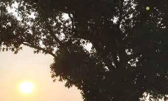 Imagem 3: Apto aluguel Apartamento com 2 dormitórios