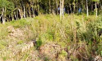 Imagem 7: Terreno no bairro Vila Suzana em Canela!