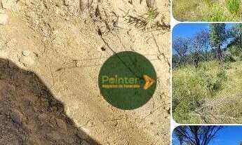 Imagem: Fazenda à venda, 14520000 m² por R$ 15.000.000,00