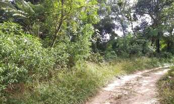 Imagem 2: Chácara São José dos pinhais