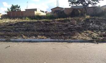 Imagem 2: Lote com 300 mts