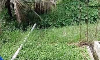 Imagem 4: Vendo casa no bairro Gilberto Mestrinho Prox... 4º DIP valor 35000