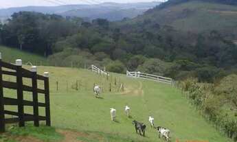 Imagem 2: Sítio Ibiuna ( 8,5 Alqueires