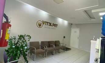 Imagem 6: Clinica Veterinária