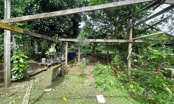 Imagem 5: CASA com poço artesiano, frutíferas e tanque de peixe