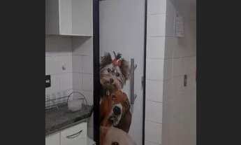 Imagem 4: APARTAMENTO RESIDENCIAL em VITÓRIA - ES, JARDIM CAMBURI