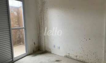 Imagem 3: São Paulo - Apartamento Padrão - Vila Matilde