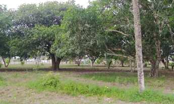 Imagem 4: Sítio, Chácara no Povoado Pastor, Boquim-SE com 9570 m2 de extensão, 3 tarefas