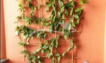 Imagem 5: Apartamento 3 quartos a venda na Vila da Saúde- São Paulo