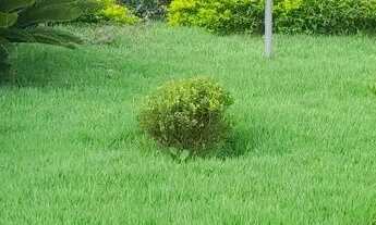 Imagem 3: Rancho pra alugar