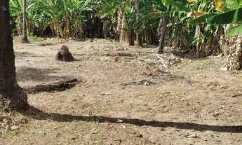 Imagem 7: Terreno município Coruripe valor 480.000.00