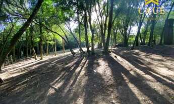 Imagem 5: Sítio de 11,5 hectares