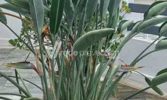 Imagem 7: Cobertura - Taquaral - Campinas