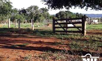 Imagem: Fazenda em Minaçu-GO. gt 50 Alq. (242Há)