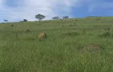 Imagem 5: 48P-JPRI20 Terreno / lote com venda por R$250.000