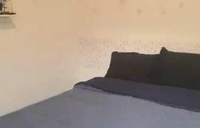 Imagem 15: Apartamento Locação 3 Dormitórios - 100 m² Higienópolis