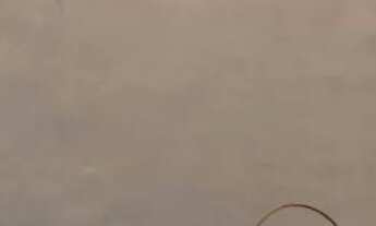 Imagem 2: Alugo casa Panatis II