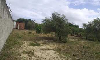 Imagem 3: Terreno em Pium Terreno / lote com venda por R$20.000