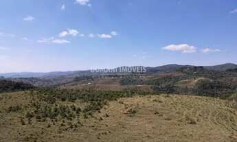 Imagem 4: Ampla Área de Terreno à Venda na Região do Parque do Ferradura - Campos do Jordão/SP