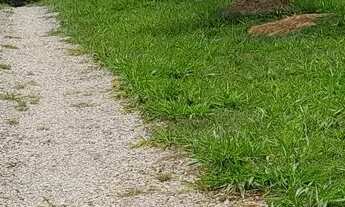 Imagem 5: Terreno rural em itatiaucu