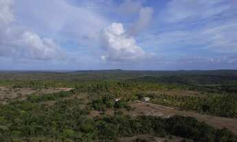 Imagem 6: Fazenda Mista em Conde -BA