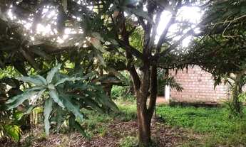 Imagem 4: Vendo casa em Outeiro F. P