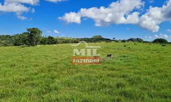 Imagem 6: Fazenda 414 alqueires (2.007 hectares) Caiapônia - Go