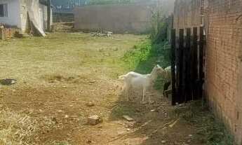 Imagem 6: Terreno em Santa Rosa, Piracicaba