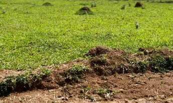 Imagem: Terreno com o melhor valor do ano aproveita