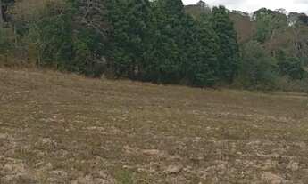 Imagem 7: Vendo terreno no bairro Recreio Topázio em Caucaia