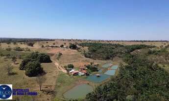 Imagem: Fazenda de Alto Padrão à Venda 80 Alqueires