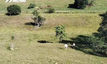 Imagem 5: Vende-se terreno rural com 9,8 Hectares - entre Guarapari e Anchieta/ES