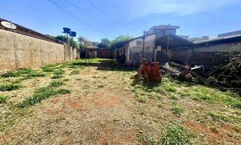 Imagem 6: Lote no Maracanã